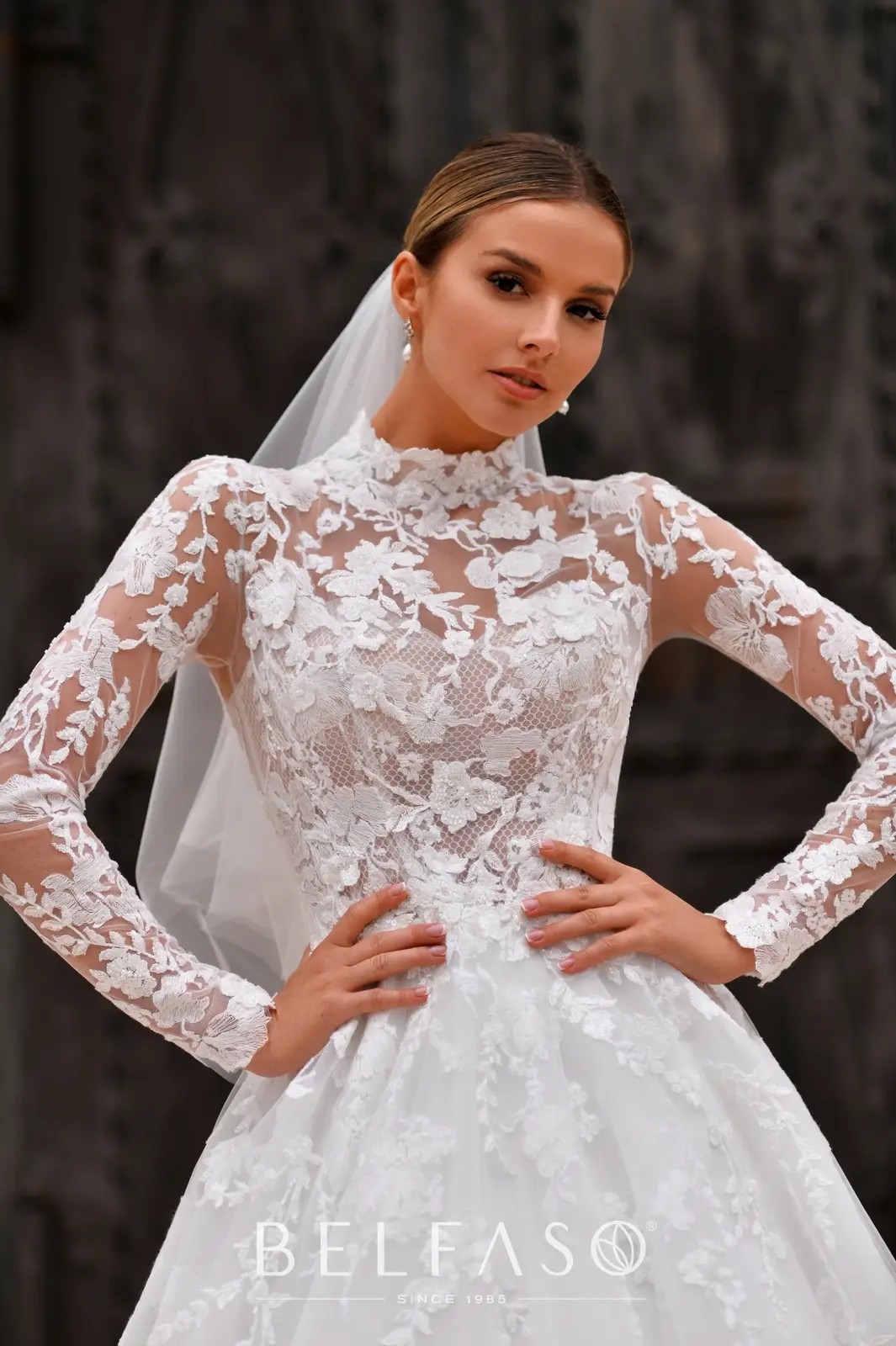 Long Sleeved Gown Highlight! Image