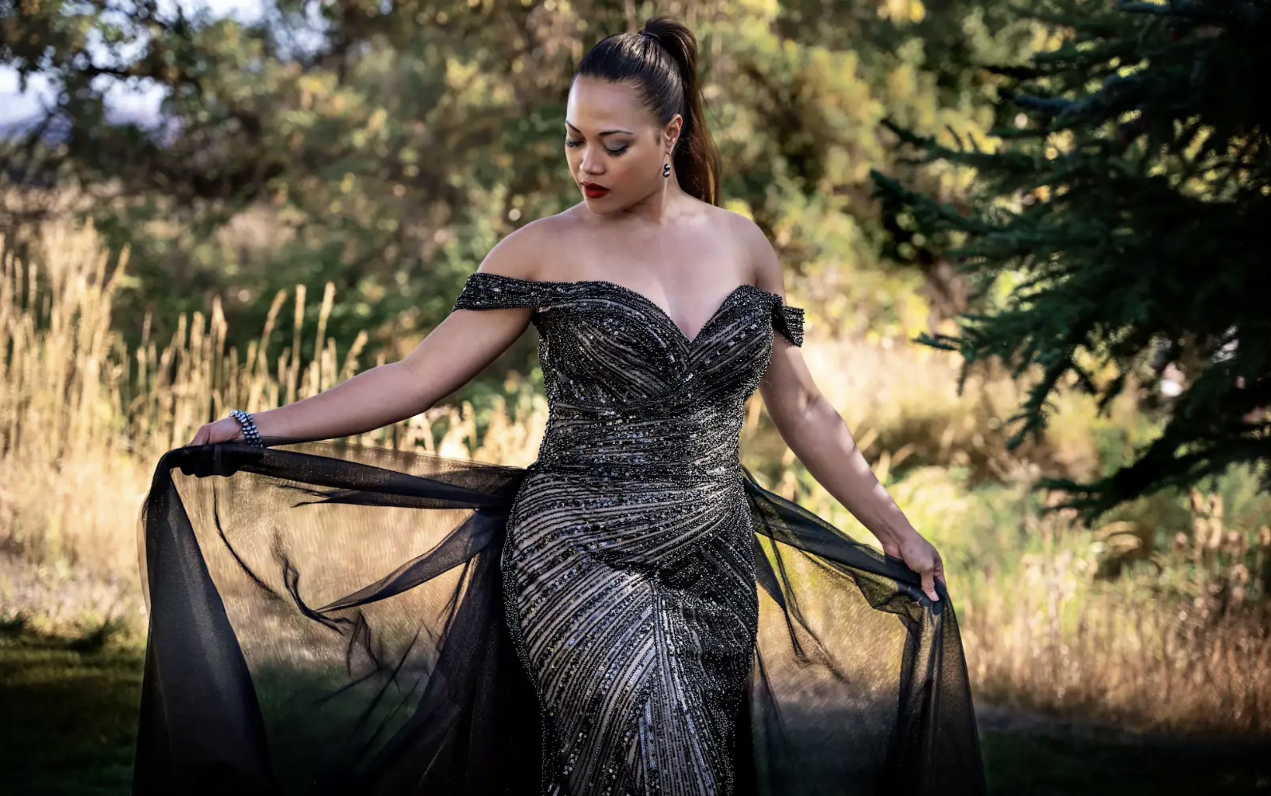 Gown with the long lace sleeve